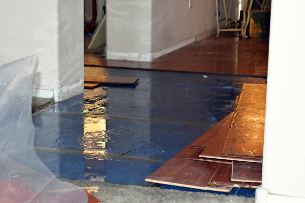 Professional Water Damage Restoration technician working in Sanbornton, NH